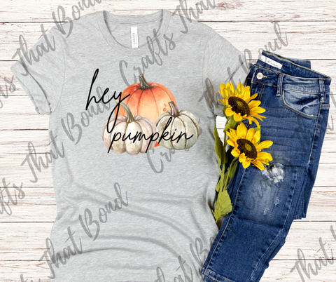 Hey Pumpkin T-Shirt