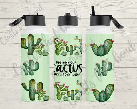 You are Not A Cactus Hydro Sublimation Water Bottle